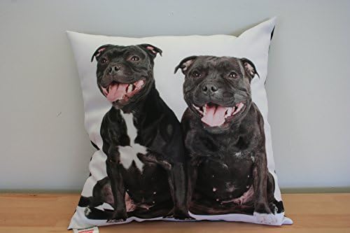 Staffordshire Bull Terriers 2 Dog Cushion. Digitally Printed.