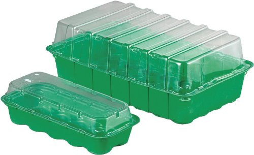 Preisvergleich Produktbild TREIBHAUS 35X22X 13CM M.DECKEL 140432