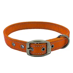 Max and Neo MAX Reflective Metal Buckle Dog Collar - We Donate a Collar to a Dog Rescue for Every Collar Sold (Small, Orange)