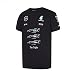Produktbild Mercedes AMG Petronas 2016 World Championship T-Shirt M