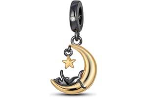 TINSLO Ciondolo Argento Sterling 925 con Cubic Zirconia Pendenti per Pandora Braccialetti, Compatibile con Braccialetti e Collane europei, perfetto Regali per Moglie e Ragazze B11