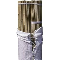 Lot De 25 Tuteurs Bambou Suinga 150cm - Diamètre 10-12mm Pour Plantes Et Potager