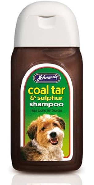 certified assistance dog