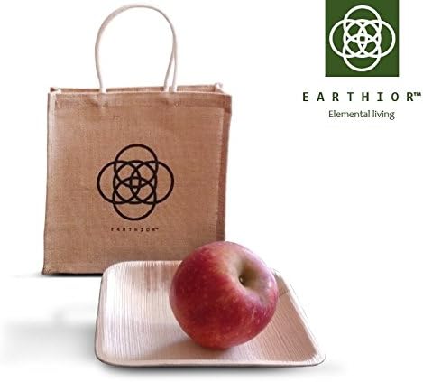 Set of 20 Square Eco Dessert Plates multi-use &amp; disposable party plates