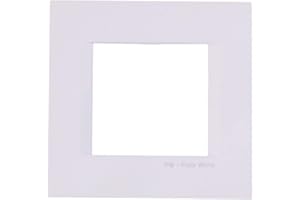 TEM Plaque Line pour prises avec interrupteur 2 M Blanc