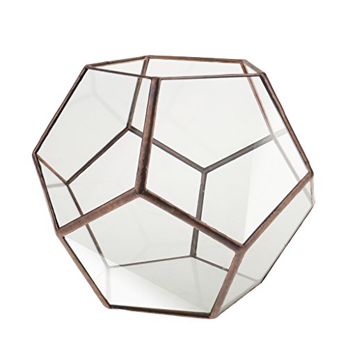 Mini Glas Terrarium Geometrisches Glas Sukkulente Pflanzen Pflanzgefäß Deko – 15 x 15 x 15cm - 2