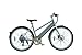 Produktbild Ethon Damen Urban Queen E-Bike Fahrrad, Nativ Aluminium Feingebürstet, 48