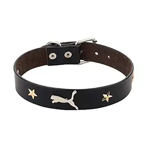 Big Breed Leather Dog CALLAR (Gold Star)