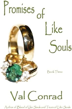 Promises of Like Souls: 3 (A Julie Madigan Thriller)