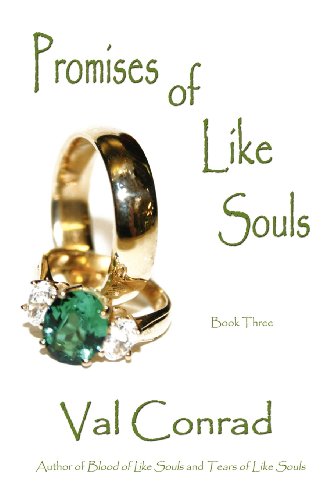 Promises of Like Souls: 3 (A Julie Madigan Thriller)