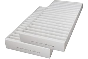 BRIZZ - Filtres compatibles VMC DANTHERM HCH5 (2 pièces) - Contenu : 2 G4