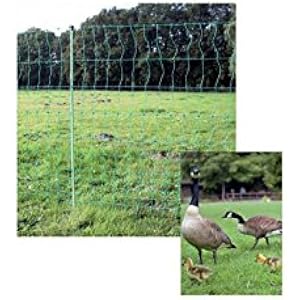Göbel Weidezaun Euro Netz Geflügel 50m lang 112cm hoch nicht stromführend 15 Pfähle Einzelspitze grün