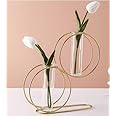Ruhi Collections Aesthetic Glass Test Tube Flower Vase with Gold Round Metal Stand Flower Vase for Chic Home Decor