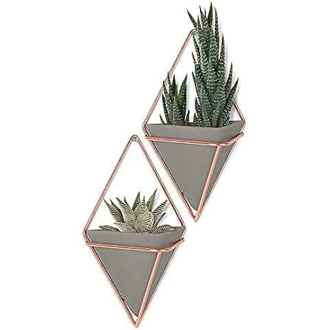 Suchergebnis auf Amazon.de für: wandaufbewahrung: Küche, Haushalt & Wohnen