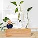 Produktbild Glass Tube With Cork - 2pcs Crystal Glass Test Tube Vase Flower Pots With Brush 1pc Wood Stand Base Hydroponic Plants Home - Aquarium Centerpiece Expansion Shaker Spade Nylon Decorative Puzzle