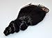Length 8" 10" 12" 14" 16"18"20" 100% Brazilian Human Hair Lace Frontal Closure Ear to Ear Natural Black Loose Wavy(Lace 13"X2" 8")
