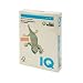 Produktbild Iq 129926 - Mehrfachfunktionen-Papier IQ COLOR 80 G A4 vanille - 500 Blätter