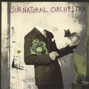 Surnatural Orchestra [Import anglais]