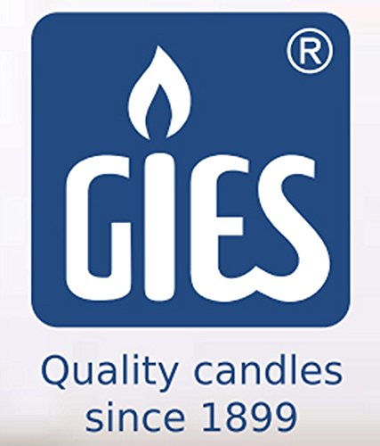 250 Stück, Gies – Premium-Teelichter, Ø 38 mm, 8 Std. Brenndauer, Gastronomie Qualität, Großpackung - 3