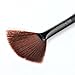 Technic Get Gorgeous Highlighting Powder 12g + LyDia® Small Black Fan Cheek/Blending/Contour/Highlighter/Bronzer/Dust Makeup Brush