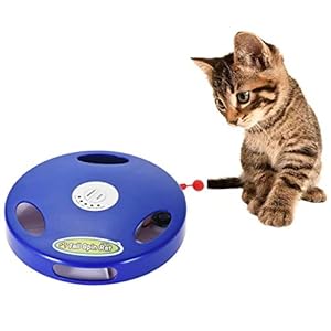 Juguete para gatos de todas las edades, ratón electrónico. Proporciona ejercicio y diversión, su gato no podrá resistirse