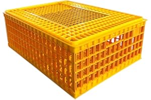 EASY MEDIA Gabbia trasportino in plastica per trasporto pollame polli conigli 7438629071317