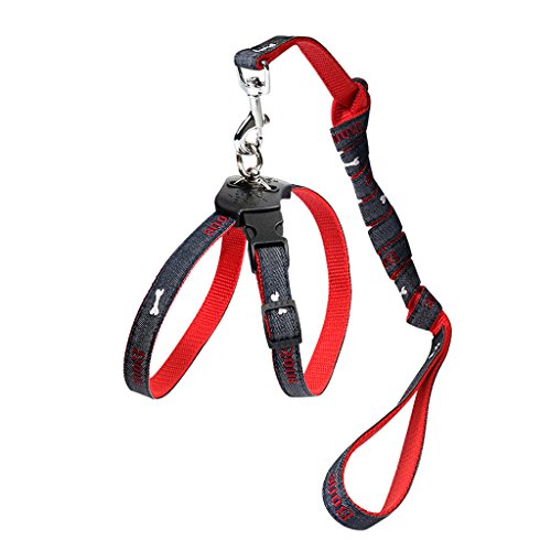 Preisvergleich Produktbild Baby-Katzen, Hunde, Geschirre, Leinen, Räuber, Pantoffeln, Katzen, Hundehalsbänder, Kleine Haustier-Seile, Haustier-Versorgungsmaterialien (Farbe : Red)