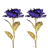 ❤️Garantía de satisfacción: 100% garantía de satisfacción, cuando usted compra la flor de rosa de 24 K en nuestra tienda, si usted no está satisfecho con cualquier razón, por favor póngase en contacto con nosotros en 30 días para un reembolso completo. O envíenos su producto problemático, solo envíenos un correo electrónico a través de Amazon con imagen y cantidad, le enviaremos uno nuevo directamente.