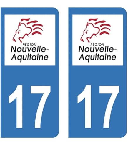Lot De 4 Autocollants Noirs Pour Plaque Immatriculation - Département 16 Charente, Vinyle Résistant Aux UV Et Lavages, Fabriqué En France
