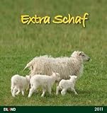 Extra Schaf 2011 by