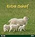 Extra Schaf 2011 by