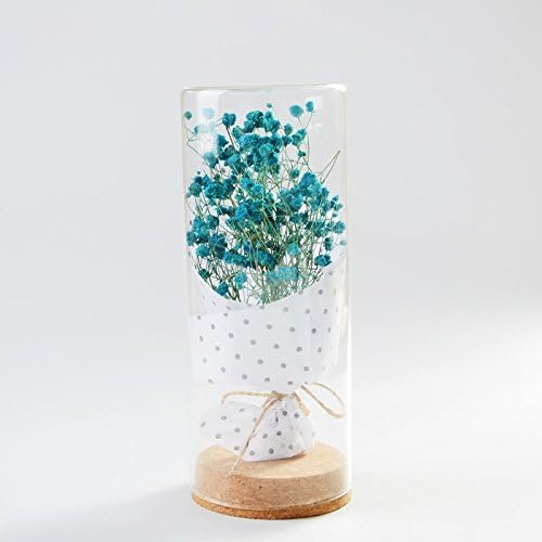 XPHOPOQ Artificial Flower Christmas Presents Dried Flowers Don'T Forget Me Glass Vases Are Decoration Green Plants,