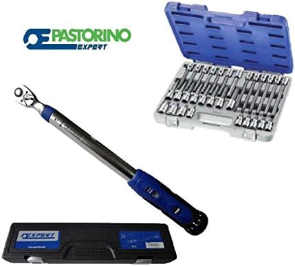 Torque Wrench 40 – 200 Piu Cassette Socket PASTORINO Expert 30 PZ.