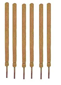 COIR GARDEN Coir Moss Stick, Brown, 4 feet, 6 Pieces