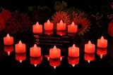 12 Flickering Red Flameless LED Tea Lights - Battery Operated Candles by PK Green