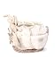 Mamas & Papas Gift Hamper (Beige)