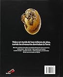 Image de Dinosaurios. La Guía Visual (Conocimiento y consulta)