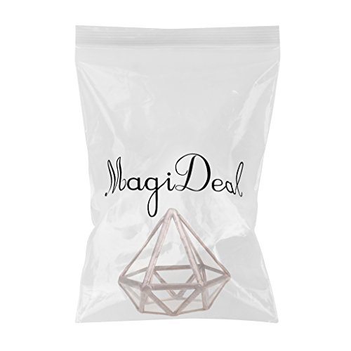 MagiDeal Geometrisches Glas Terrarium Box Glas Sukkulente Pflanzen Pflanzgefäß Deko Diamant Form – S - 2