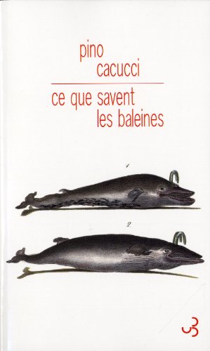 couverture de : Ce que savent les baleines