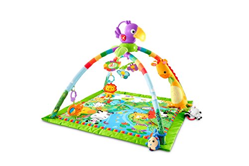 Mattel Fisher-Price DFP08 Rainforest Erlebnisdecke mit farbenfrohen Motiven - 3
