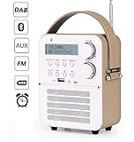 Eleganter Look --- weiches Leder um den Radio und Special Leder & beweglichen Griff; Klassischer Vintage Radio im ABS-Gehäuse