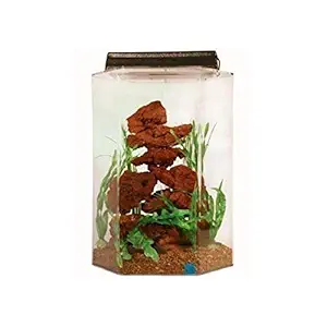 SeaClear 15 gal Deluxe Hexagon Acrylic Aquarium Combo Set, 15 by 15 by 20