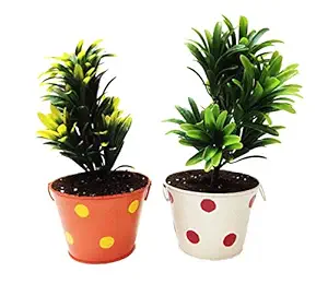 Tnz Creations Metal Plant Pots with Polka dots, Better Design, Higher Quality and More Cost-Effective.( Colours Multicolour ) Size. 5 x 5 x 3.6 inches.( Pack of 2 Pieces in Box)