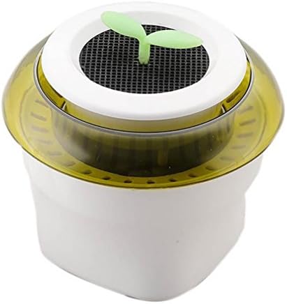 LPY-Air Purifier HEPA Air Cleaning Professional Air Purifier Ioniser by Remove Cigarette Smoke, Odor Smell, Bacteria, Mini Air Cleaner for for Small Bedroom, Pets Room, Refrigerator, Car, Traveling , green