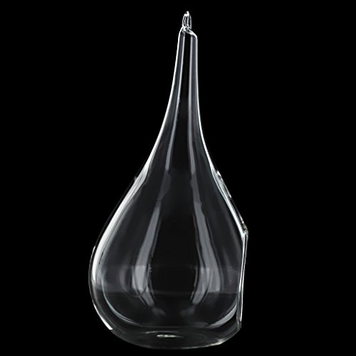 Gazechimp Transparent Kegelglas Wand Hängen Glas Vase Für Pflanzen Blumen Wohnzimmer Wand Dekor - 3