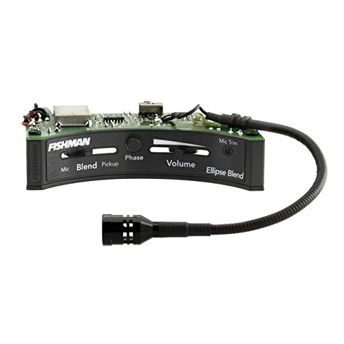 Fishman Ellipse Matrix - Unidad de amplificación de sonido con micró