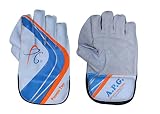 APG Pawan Top Wicket Keeping Gloves (White) RS.400 (50.00% Off) - Amazon