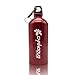 Produktbild chanodug Edelstahl Wasser Flasche 600 ml/18 oz Drink Fläschchen mit Karabiner für Sport Camping Running Radfahren Gym