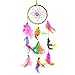 AsianHobbyCrafts Dream Catcher Wall Hanging : Size (LxB) 30x10 cm : 