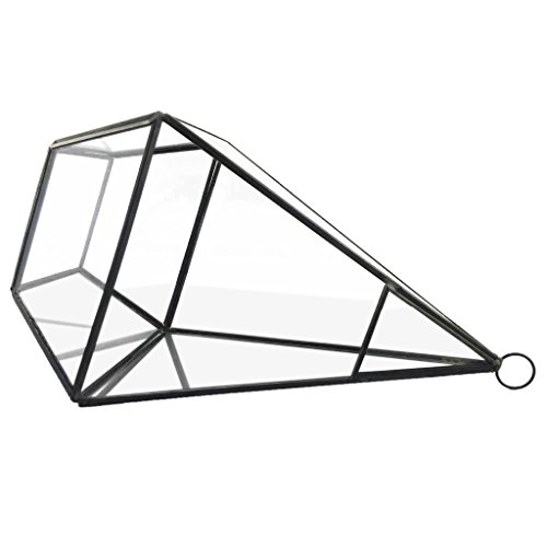 Generic Modern Design Glas Terrarium Geometrisches Sukkulente Pflanzen Deko – Rautenförmig – 12 * 12 * 24,5 cm - 6